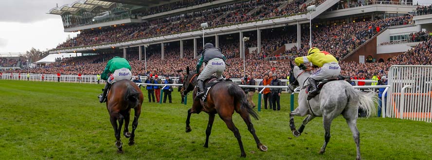 Cheltenham Day 2 Cheltenham Day 2