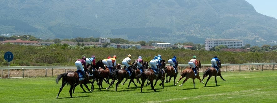 horse betting in south africa