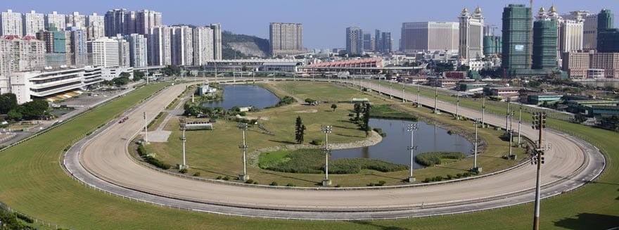 Taipa Racecourse Info Tote