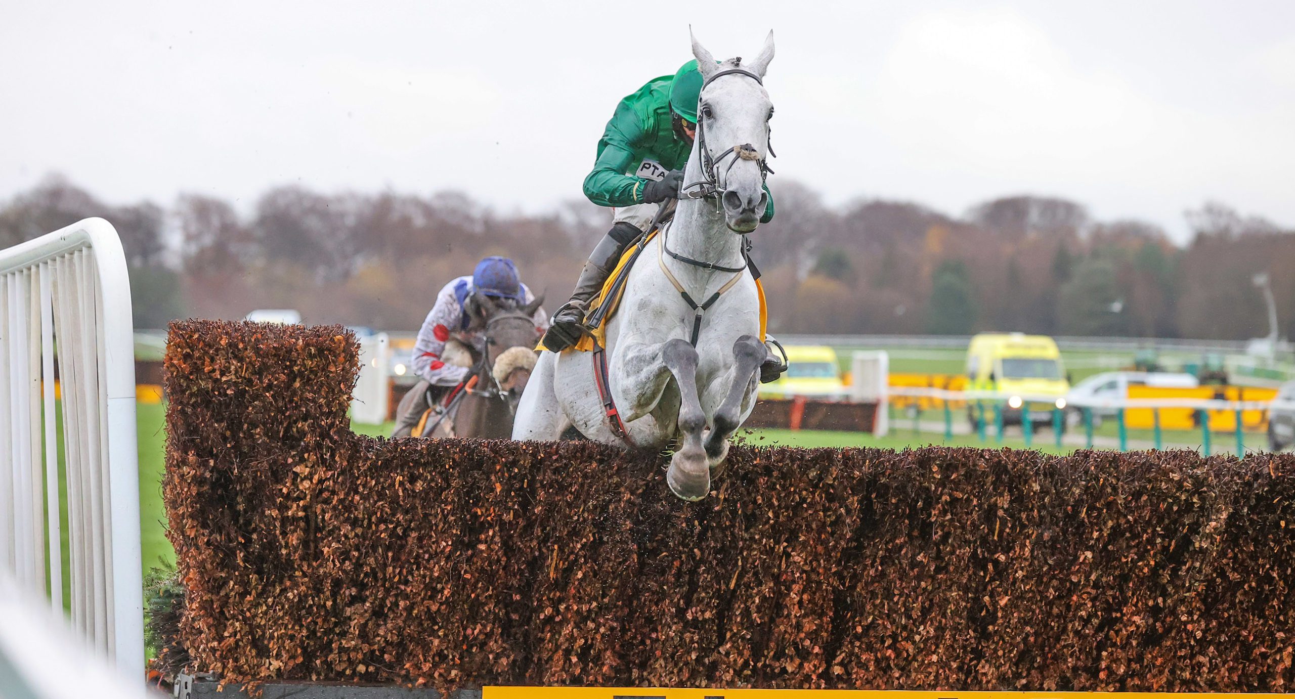 Betfair Chase Tips Tote