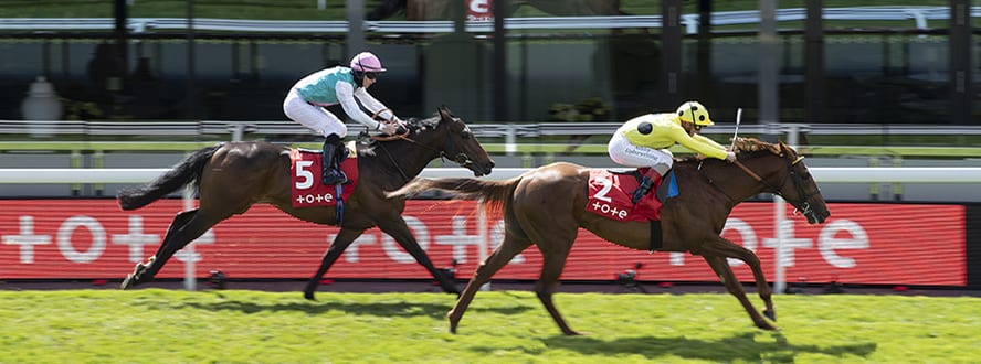 outsider tips today