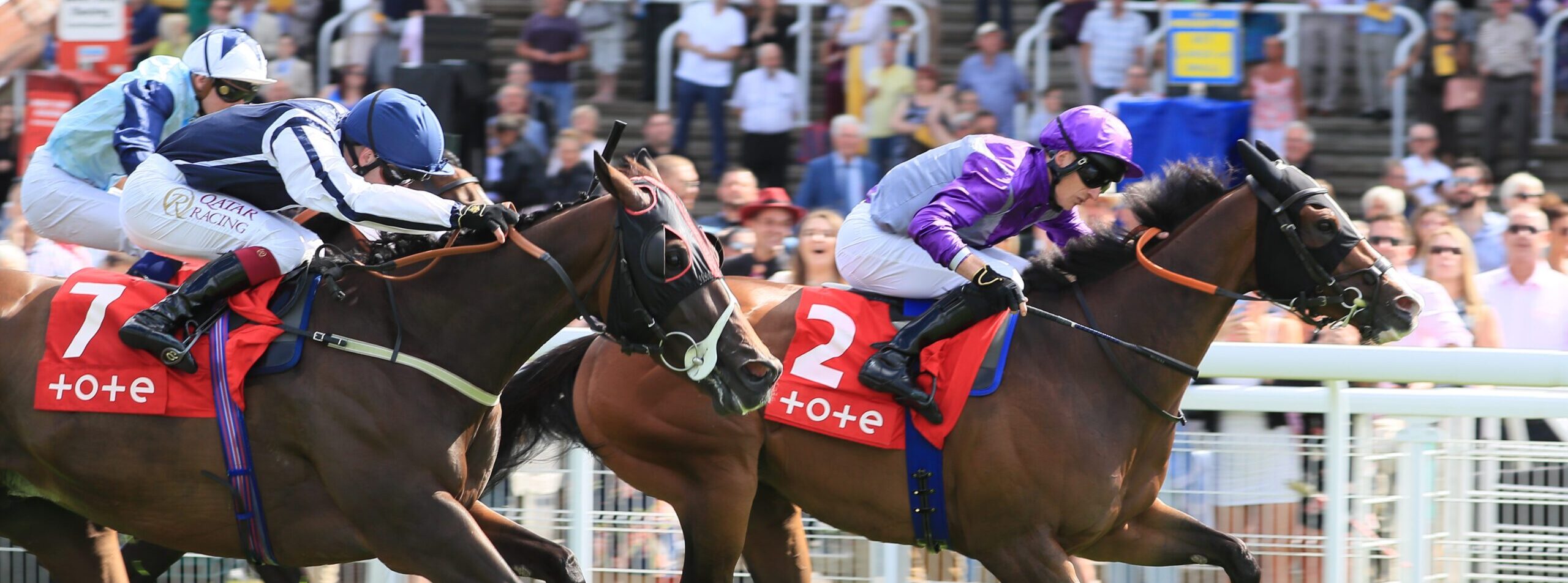 Scoop6 Tips Expert, Free & Every Day Tote