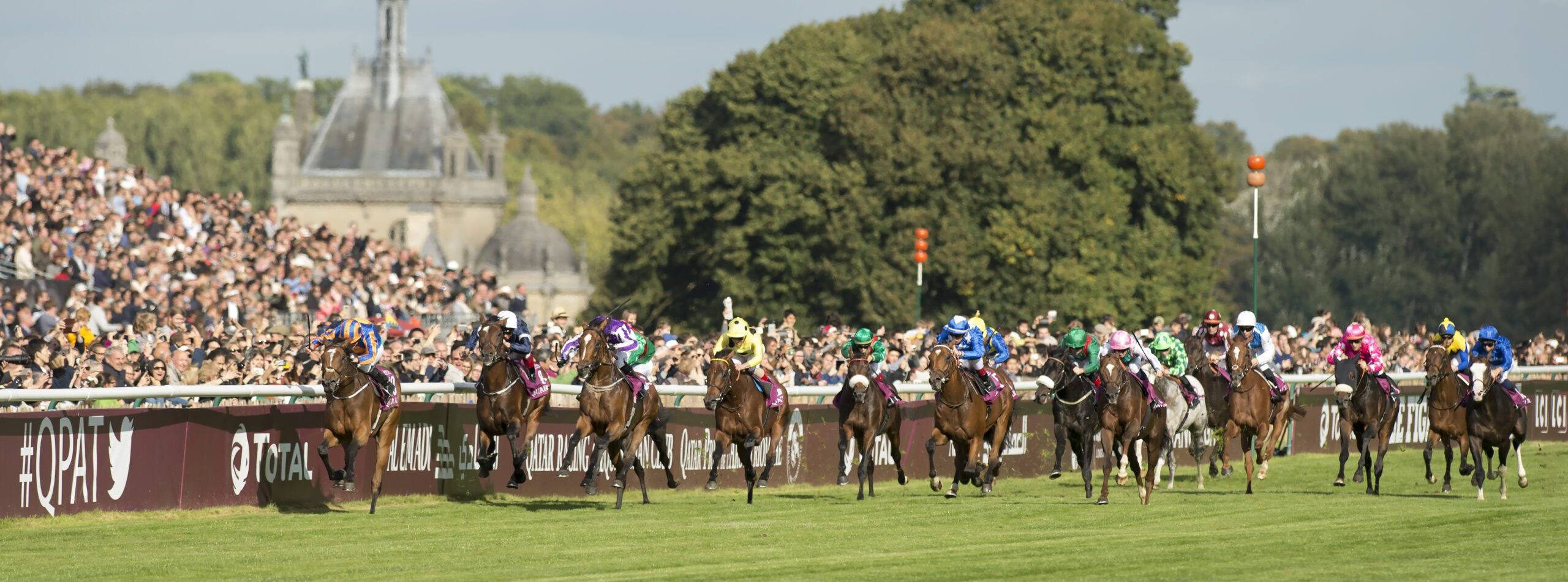 French Racing Tips | Tote